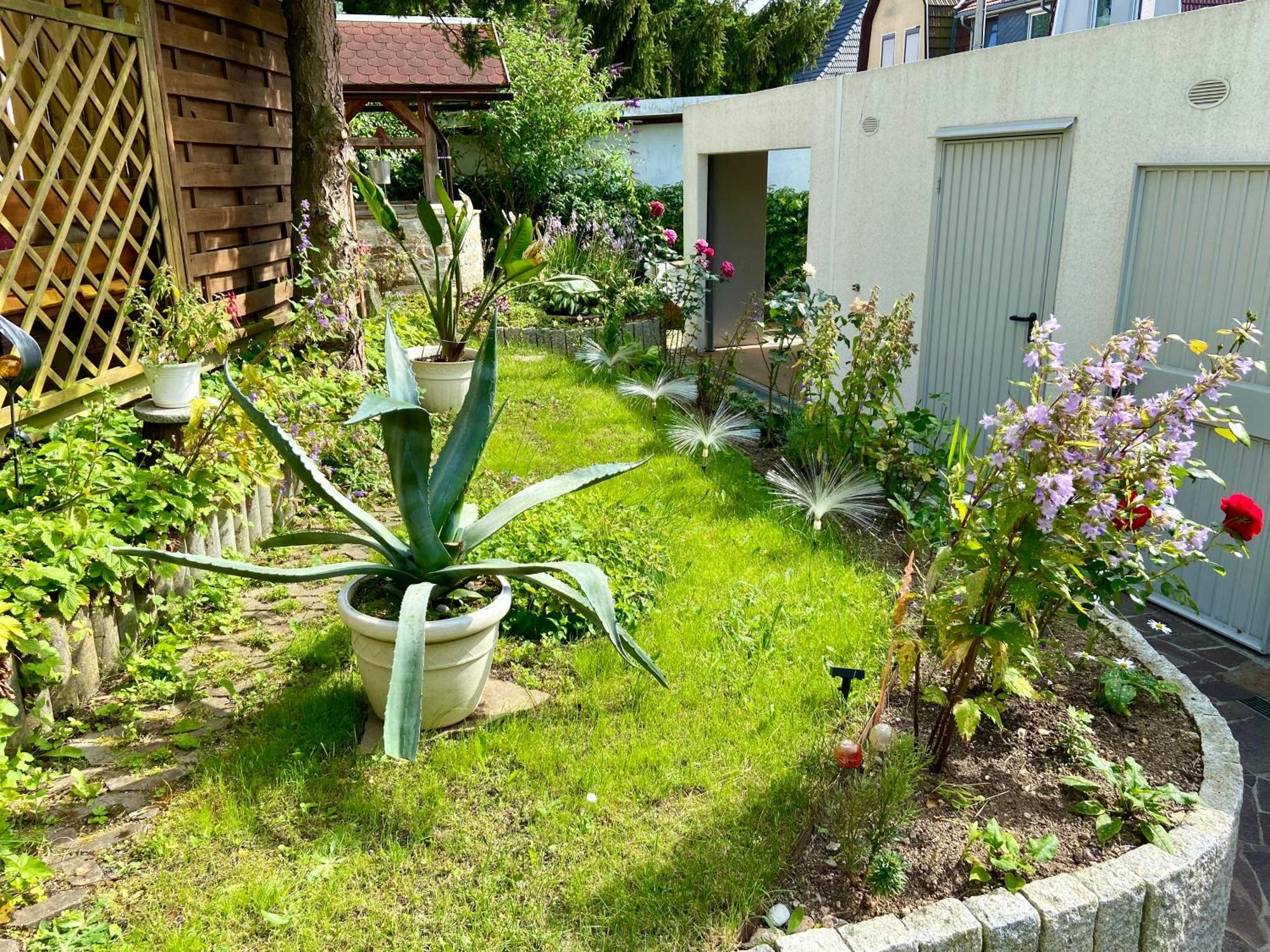Regenbergblick Apartment Цела-Мелис Екстериор снимка